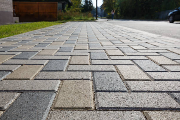 Best Driveway Paving Contractor  in Omro, WI